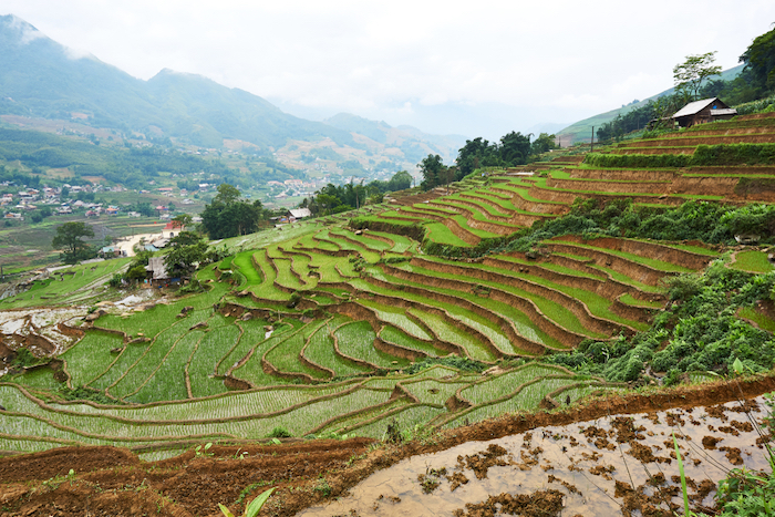 Trekking vietnam sapa bookatrekking.com