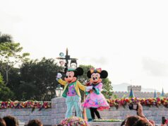 Disneyland Parijs aanbiedingen slim vergelijken Disneyland Parijs aanbiedingen