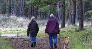 Weekendje weg met hond: kies je voor een vakantiehuisje of B&B? Weekendje weg