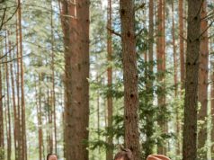 Ontdek de smaken van de Ardennen door culinaire hoogstandjes te vinden culinaire hoogstandjes ardennen