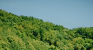 Klim en Avonturenbos voor schoolreisjes of groepsactiviteiten klim avontuurbos