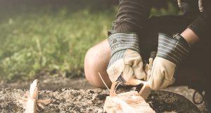 Essentiële overlevingsvaardigheden die iedereen moet kennen overlevingsvaardigheden