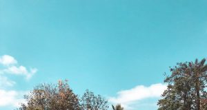 Beleef vandaag nog een avontuurlijk spa-avontuur en profiteer van de vele voordelen! spa avontuur