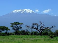 De bestemming van het jaar: Tanzania vakantie 2022 Tanzania vakanties