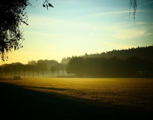 De verborgen parels van de Achterhoek: unieke vakantieplekjes unnamed file
