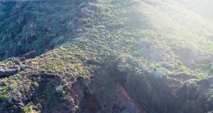 Ga goed verzekerd op reis verzekerd op reis